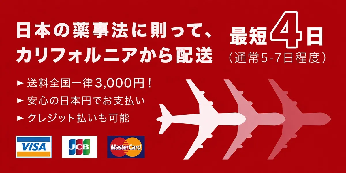 送料、配送、お支払いについて